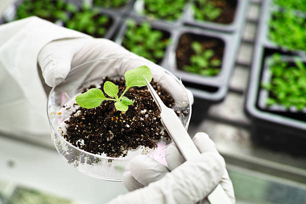 biotechnologie