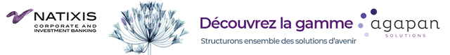 Banner Pub natixis