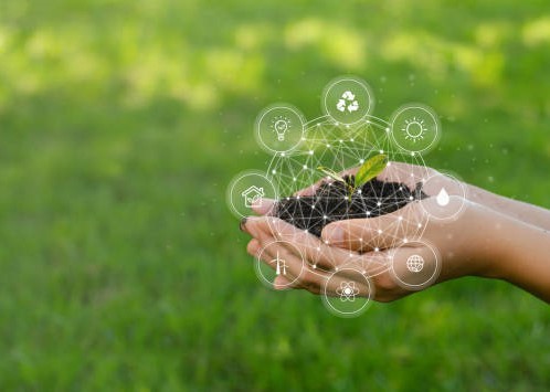 istockphoto 1342186570 612x612