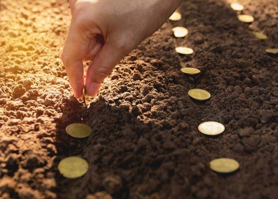 istockphoto 867473532 612x612
