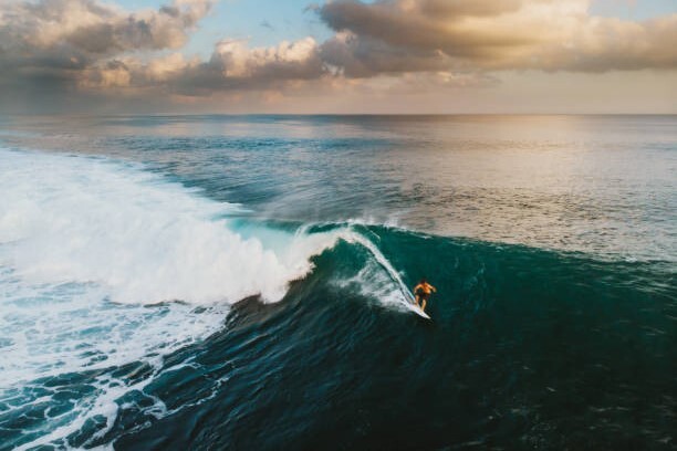 ocean tendance 