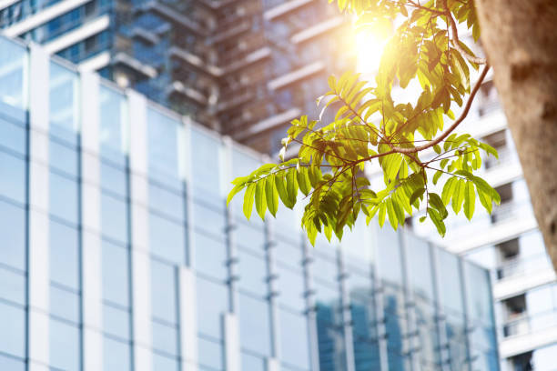 Nature entreprise climate change 