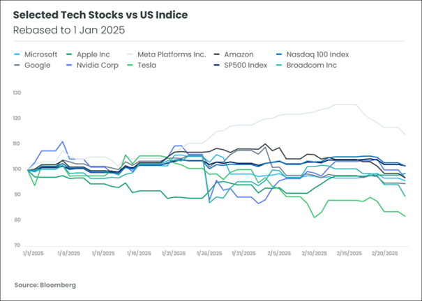 graphe 1 selected tech stocks vs US indice