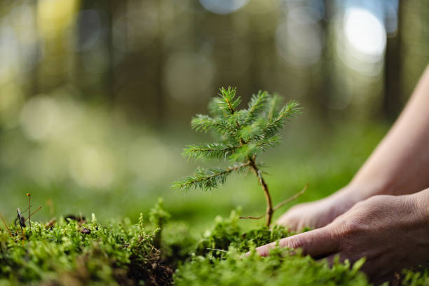nature fonds esg