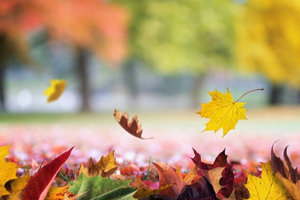 novembre