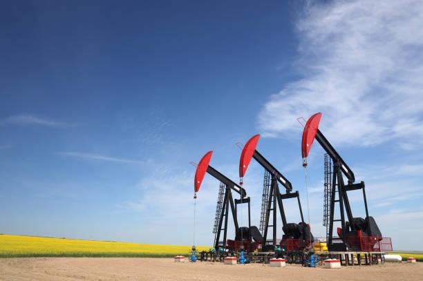 pétrole