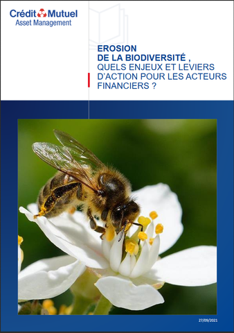 Crédit mutuel 0610