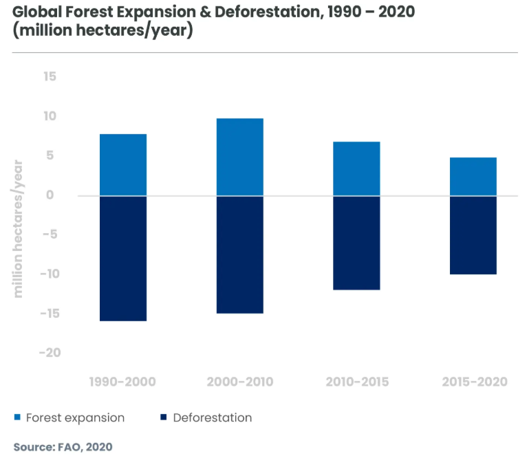 Global Forest expansion and deforestation
