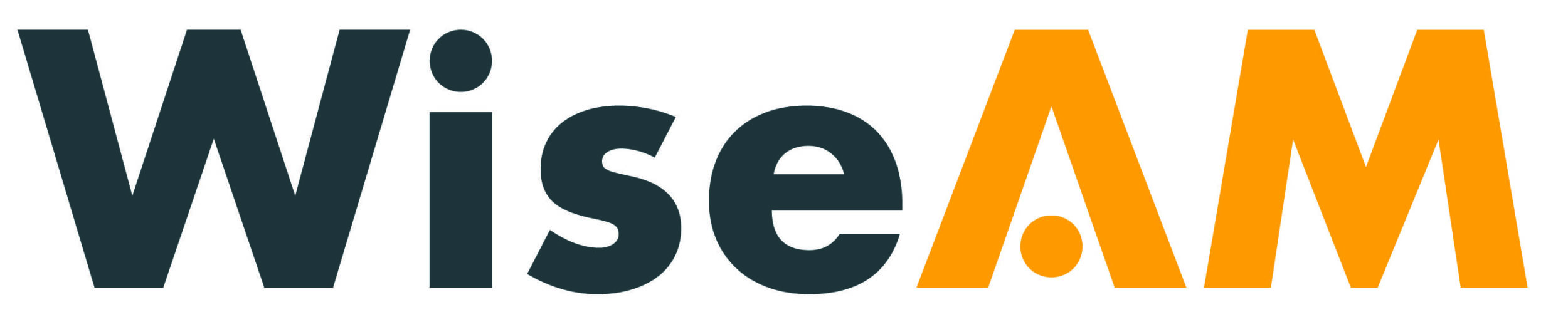 Wiseam logo
