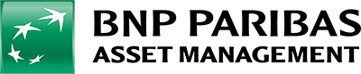 bnpam logo