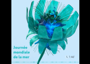 Sycomore Asset Management - Journée mondiale de la mer