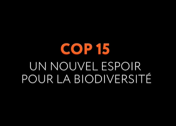 Sycomore AM - COP15 : un nouvel espoir pour la biodiversité