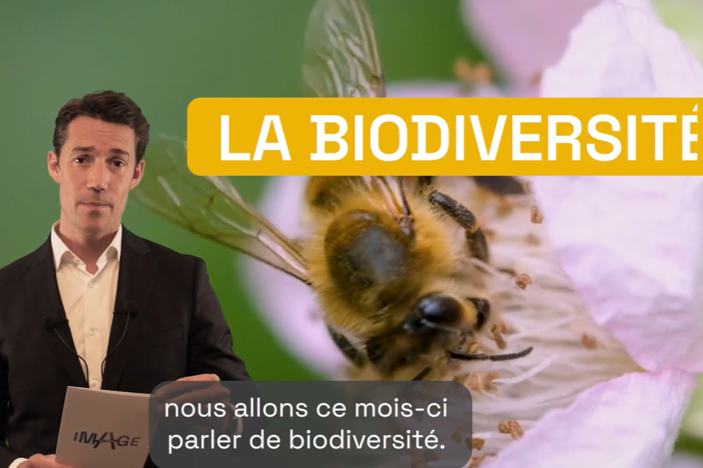 Ecofi - Biodiversité : l’alerte silencieuse du vivant !