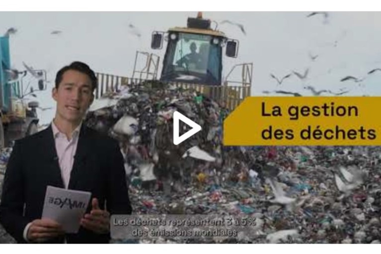 Ecofi - L'image du mois - Les déchets