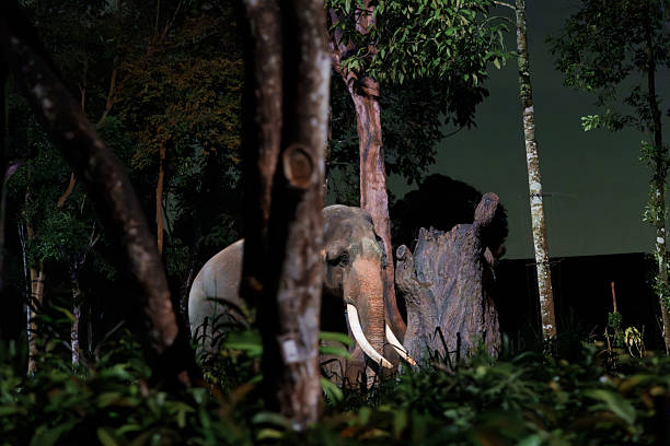 Biodiversité