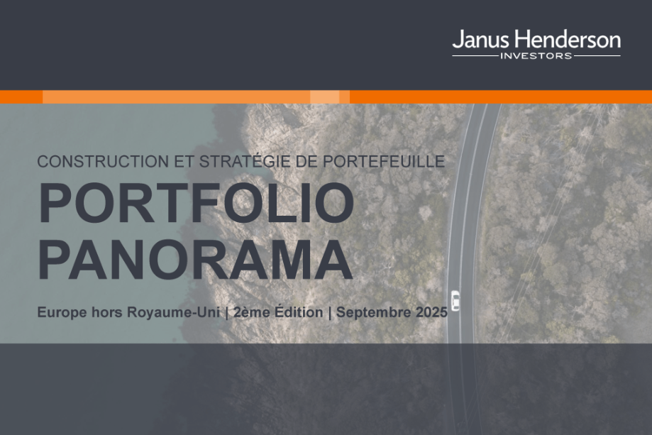 Portfolio Panorama