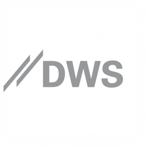 logo dws