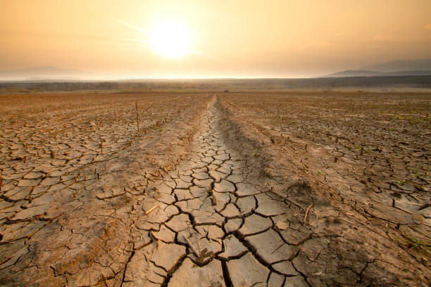 Ofi Invest AM - Catastrophes climatiques : quand la biodiversité devient un enjeu financier !