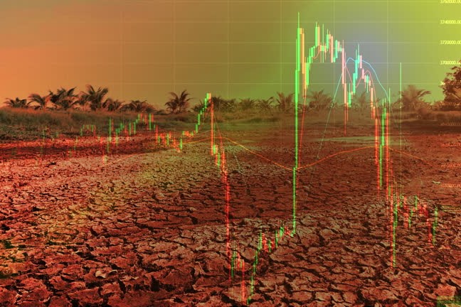 réchauffement climatique