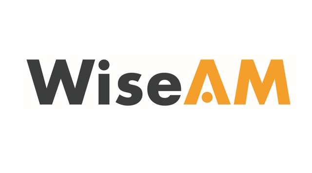 wiseamlogo1012